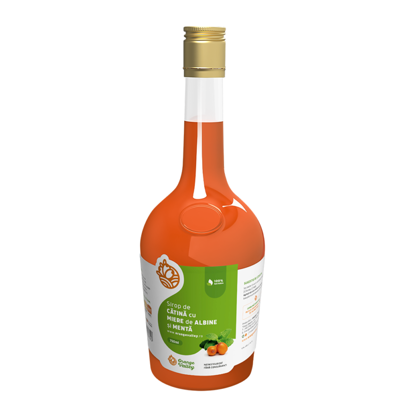 sirop-catina-menta-750ml-800x800.png